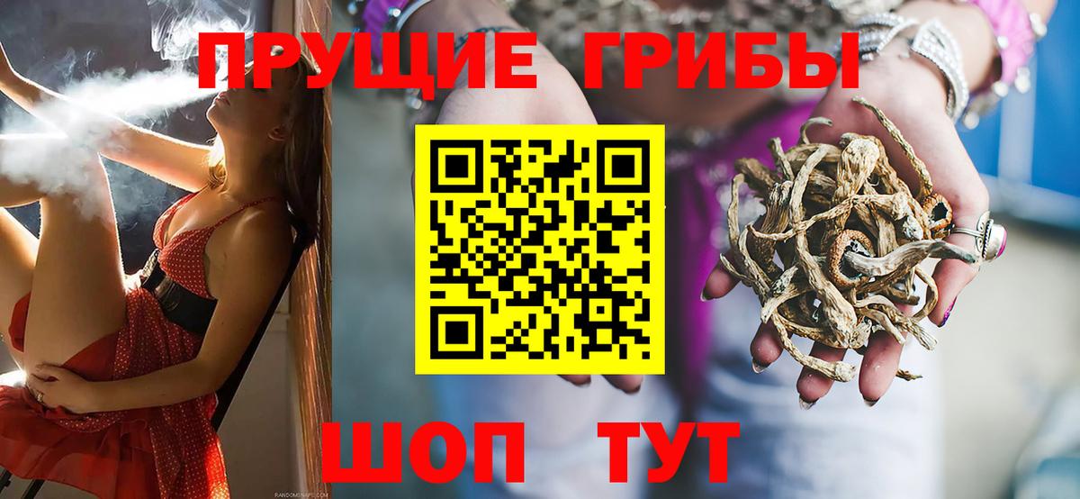 Юрга  Галлюциногенные грибы Cubensis  Вход с VPN  Галлюциногенные грибы прущие грибы 